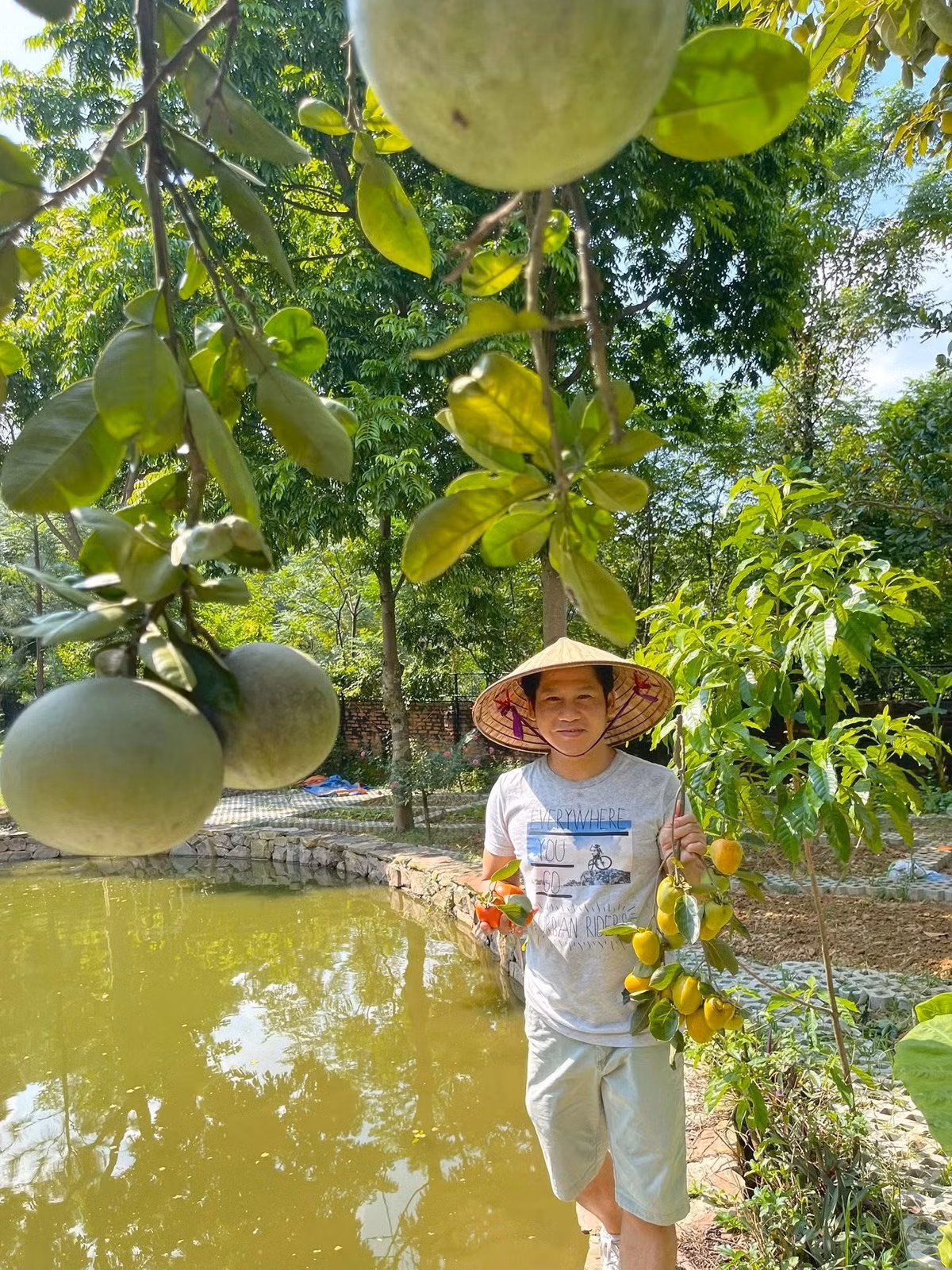 Nhiều người đoán giống hồng Trọng Tấn trồng trong vườn nhà là hồng trứng, hồng giòn. Ảnh: FBNV