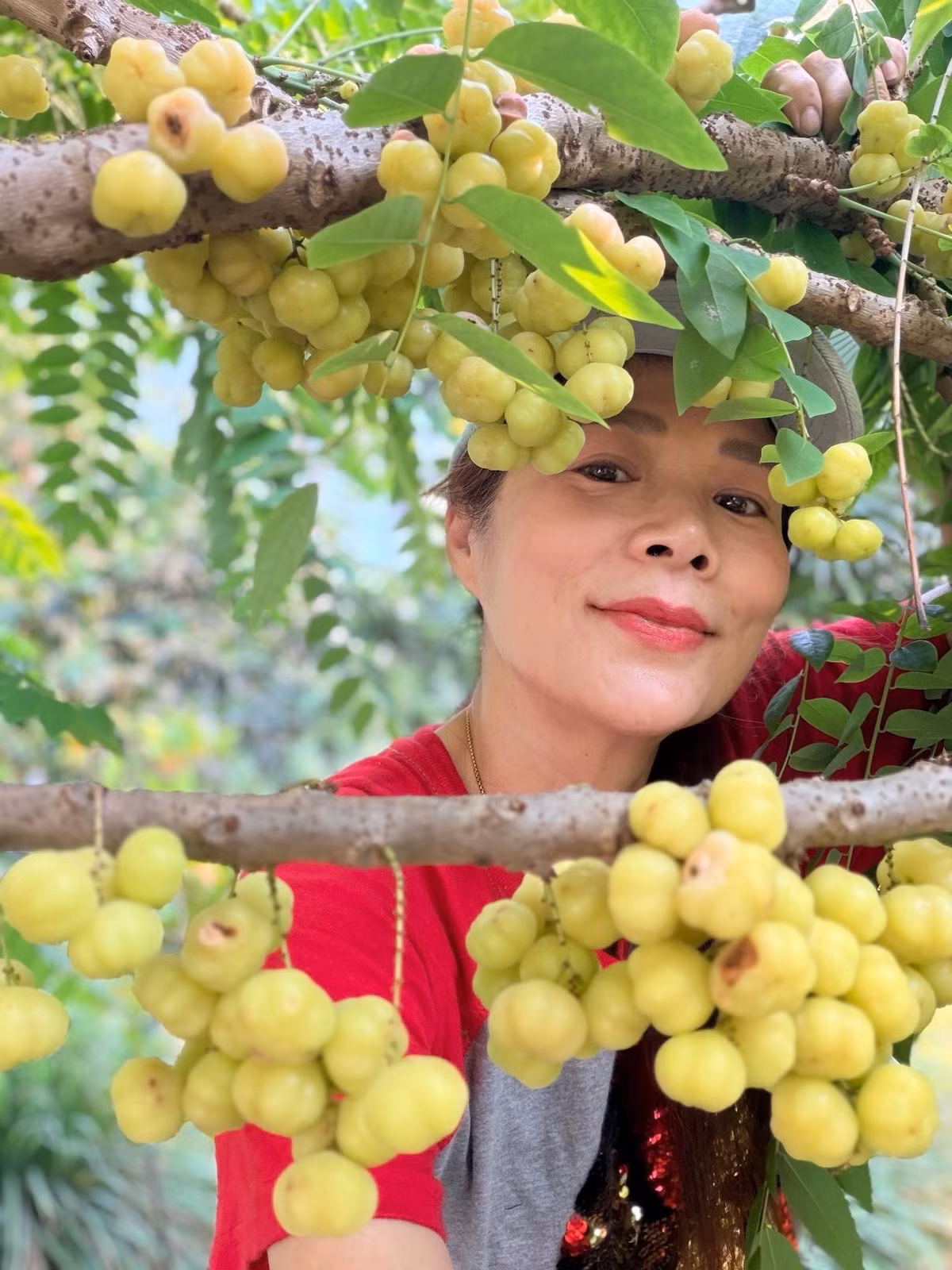 Dù bận rộn với công việc, Mỹ Lệ vẫn dành thời gian chăm sóc từng gốc cây trong vườn. Ảnh: FB Hoàng Thị Mỹ Lệ