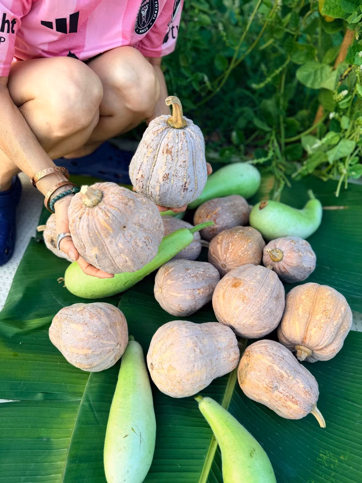 Điểm thú vị nhất trong đợt thu hoạch lần này là bí hồ lô. Cây tự mọc trong vườn, sau thời gian chăm sóc cho quả to bự và chắc nịch. Ảnh: FB Hoàng Thị Mỹ Lệ