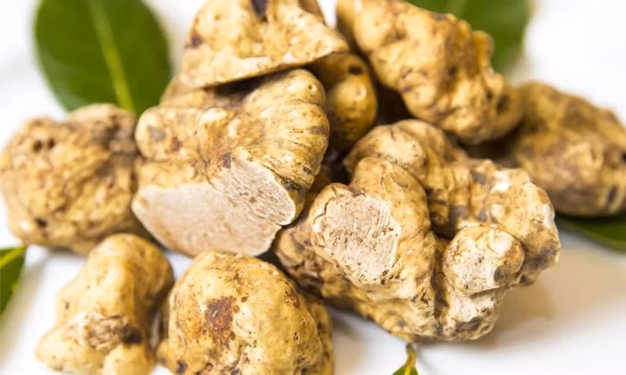Loại nấm quý hiếm này mọc dưới lòng đất. Nấm truffle trắng giá cao bởi sự khan hiếm, phương pháp thu hoạch tốn nhiều công sức và hương thơm nồng nàn. Ảnh: Herbal Dynamics Beauty