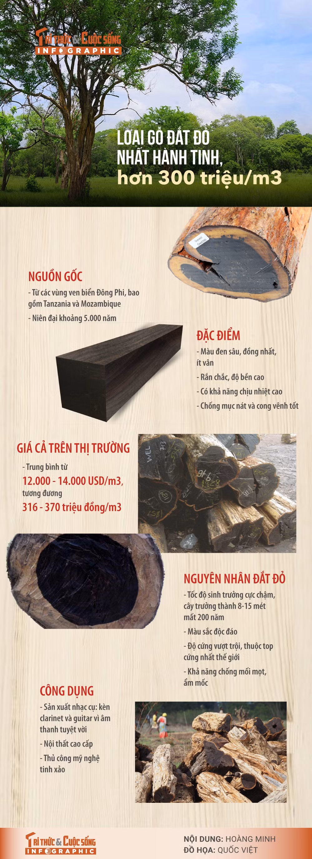 loai-go-dat-nhat-hanh-tinh.jpg