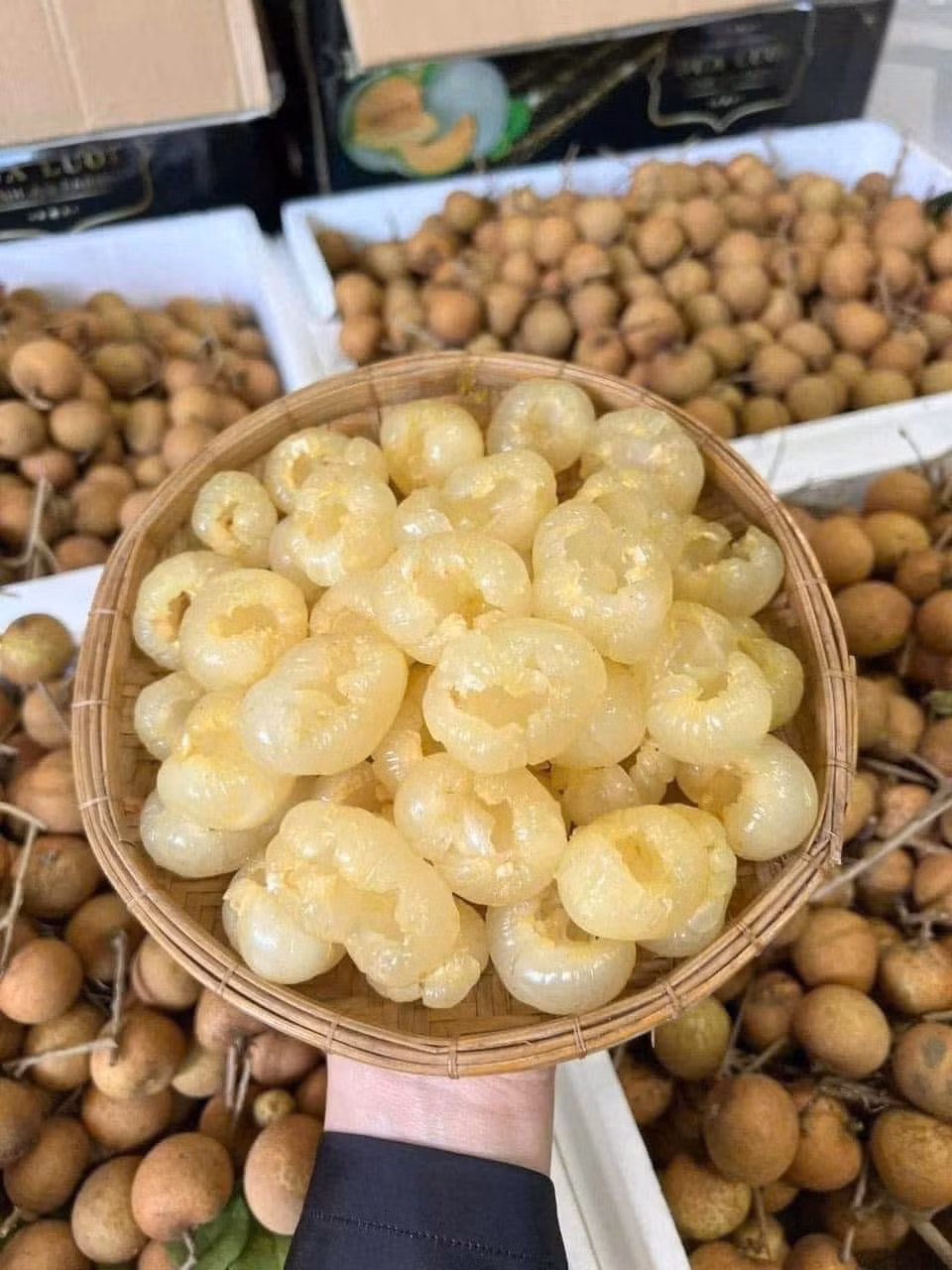 Nhãn bắp cải là một đặc sản của Bà Rịa - Vũng Tàu (cũ). Điểm đặc biệt của loại nhãn này là cùi giòn, ráo, dễ tách từng lớp như bắp cải thu nhỏ, ngọt thanh và đẹp mắt. Ảnh: Facebook