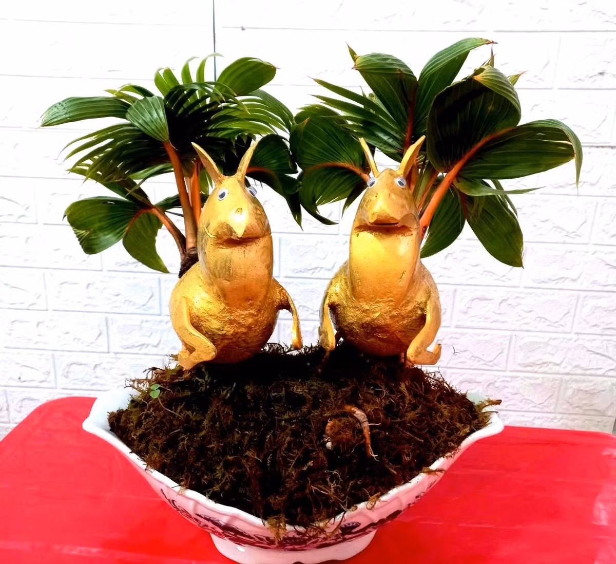Những ngày giáp Tết Nguyên đán Bính Ngọ 2026, các chậu dừa bonsai tạo hình ngựa thiên thần của Đậu Thanh Tùng, xã Bình Lợi (TP HCM) thu hút sự chú ý của người tiêu dùng. Ảnh: Dân Việt