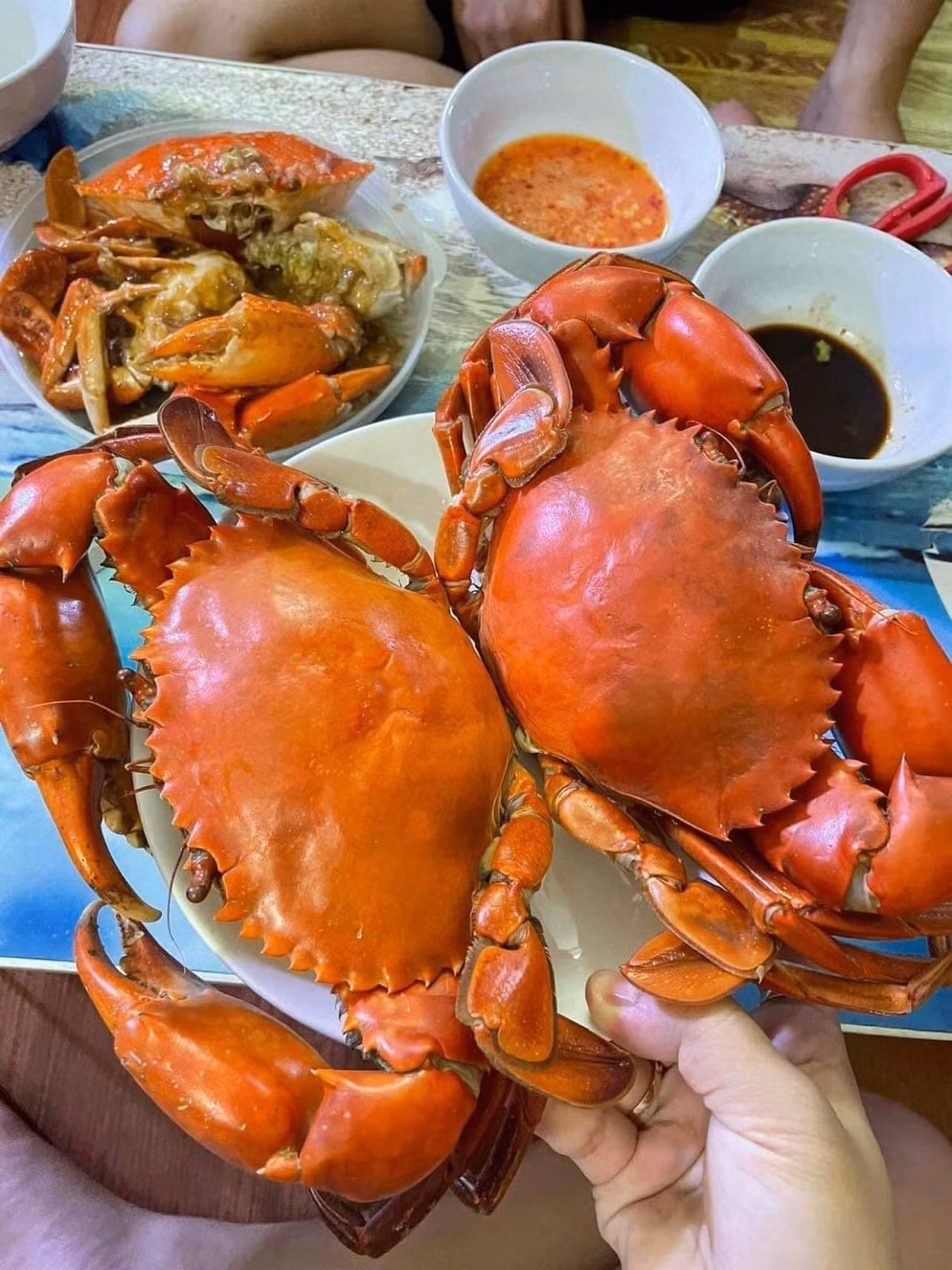Cua Cà Mau được mệnh danh là loại cua "ngon nhất Việt Nam" với lớp vỏ chắc khỏe, thịt ngọt đậm đà và gạch son béo ngậy. Ảnh: Facebook