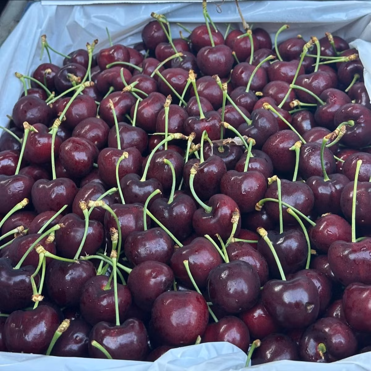 Nhờ vậy, giá cherry giảm mạnh và việc tiêu thụ cũng thuận lợi hơn so với giai đoạn cao điểm trước đó. Ảnh: FB Hoa quả xanh