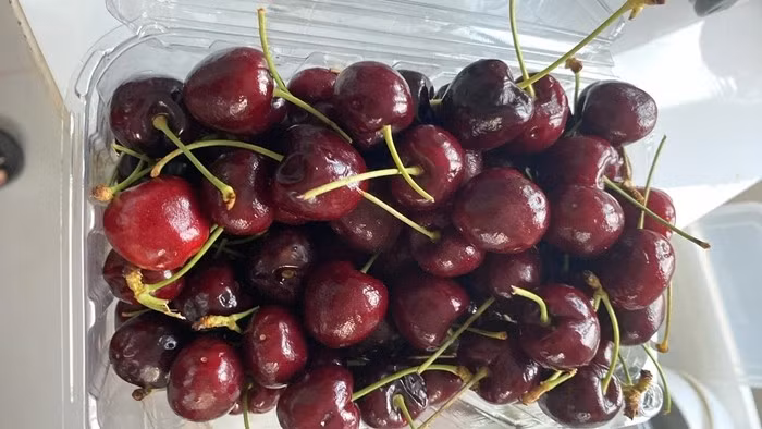 Tuy nhiên, mùa cherry năm nay, thị trường ghi nhận diễn biến bất ngờ khi giá bán giảm mạnh. Không chỉ xuất hiện tại các siêu thị và cửa hàng trái cây nhập khẩu, cherry được rao bán dày đặc trên các “chợ mạng” với mức giá chỉ hơn 100.000 đồng/kg. Ảnh: Dân Việt