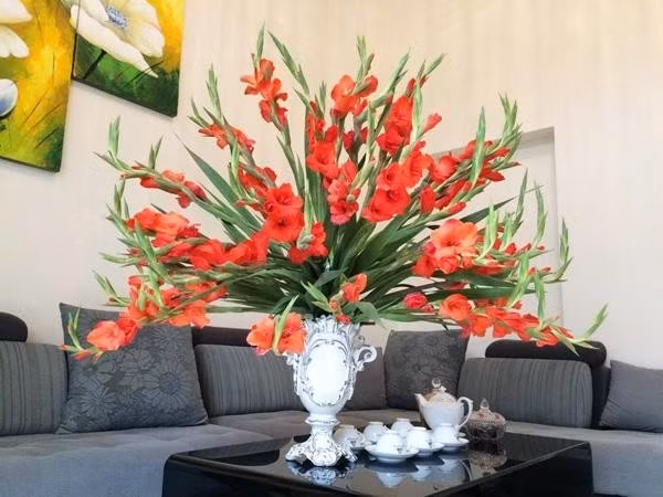 Hoa lay ơn có dáng vươn thẳng, thể hiện ý chí tiến lên và sự phát triển bền vững. Trong phong thủy, hoa lay ơn tượng trưng cho sự thăng tiến trong công việc, học hành hanh thông. Ảnh: Internet
