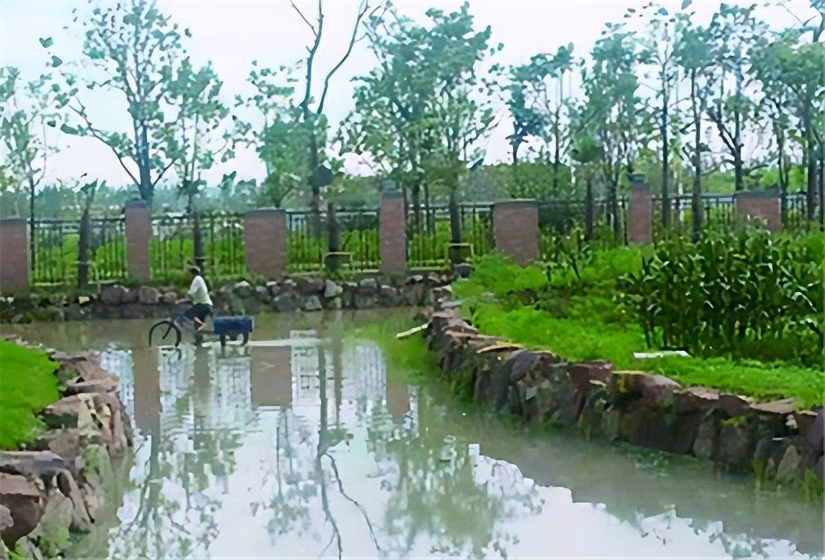 Vợ chồng ông Trang phải nấu ăn bằng bếp than, gánh nước từ xa về, dùng đèn pin buổi tối. Ảnh: Sohu