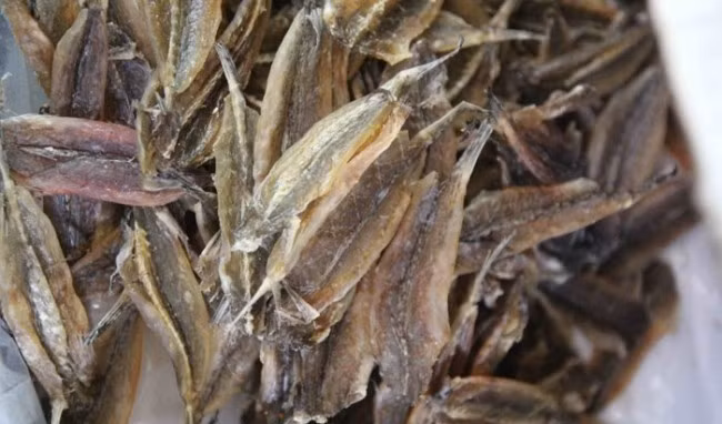 Tại Quảng Ninh, người dân còn sáng tạo ra khô cá chai hay cá chai một nắng, giá từ 250.000 – 300.000 đồng/kg. Ảnh: Dulichcoto