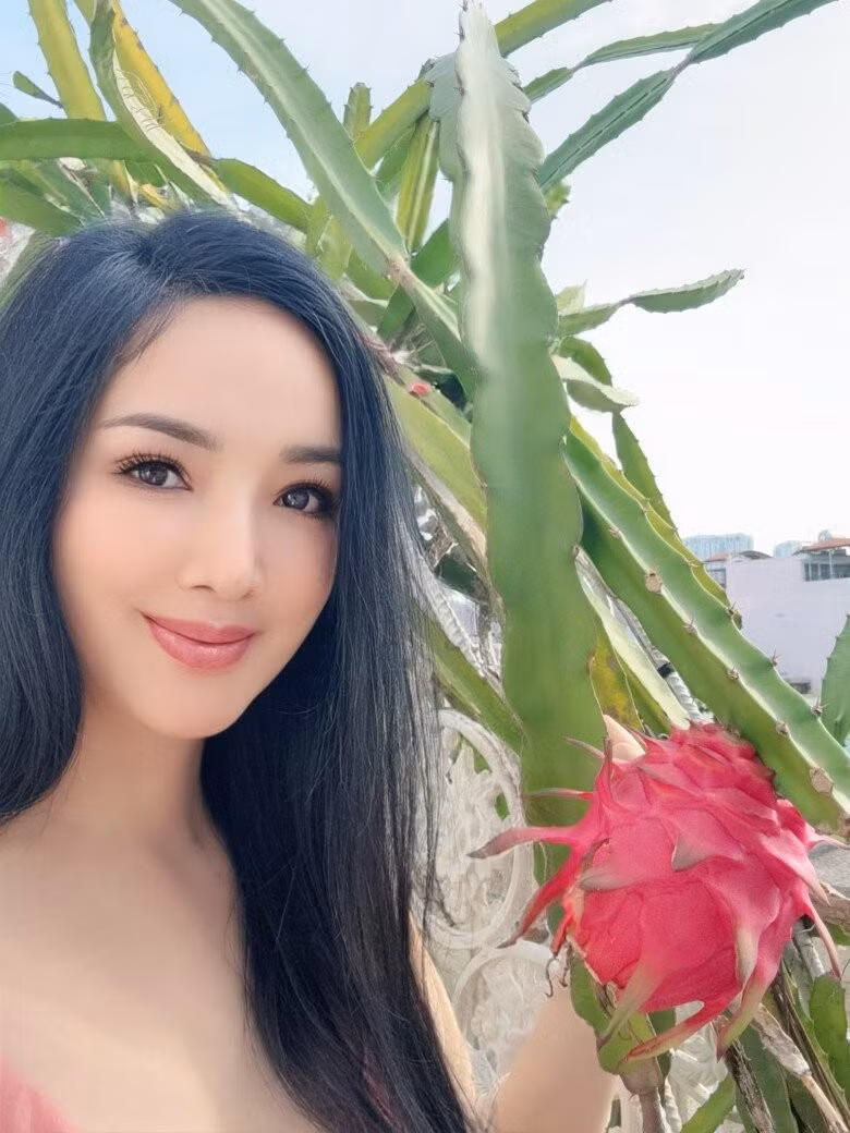 Trái thanh long căng tròn, gần đến độ thu hoạch. Ảnh: FBNV