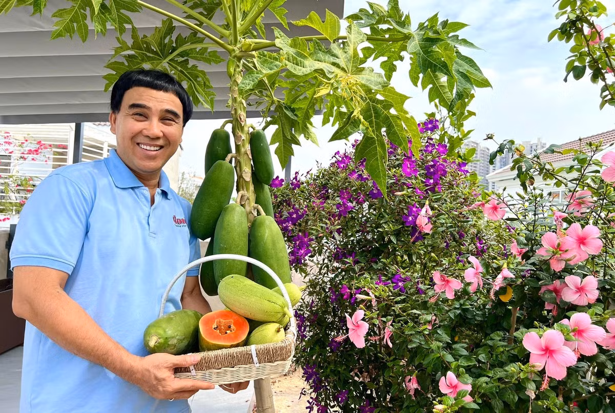 Bên cạnh hoa hồng, vợ chồng MC Quyền Linh còn trồng cây ăn trái, rau củ. Ảnh: FBNV