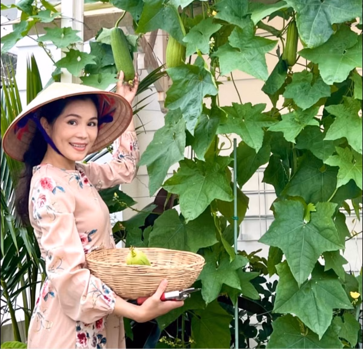 Khu vườn xanh mướt, tươi tốt quanh năm. Ảnh: FBNV