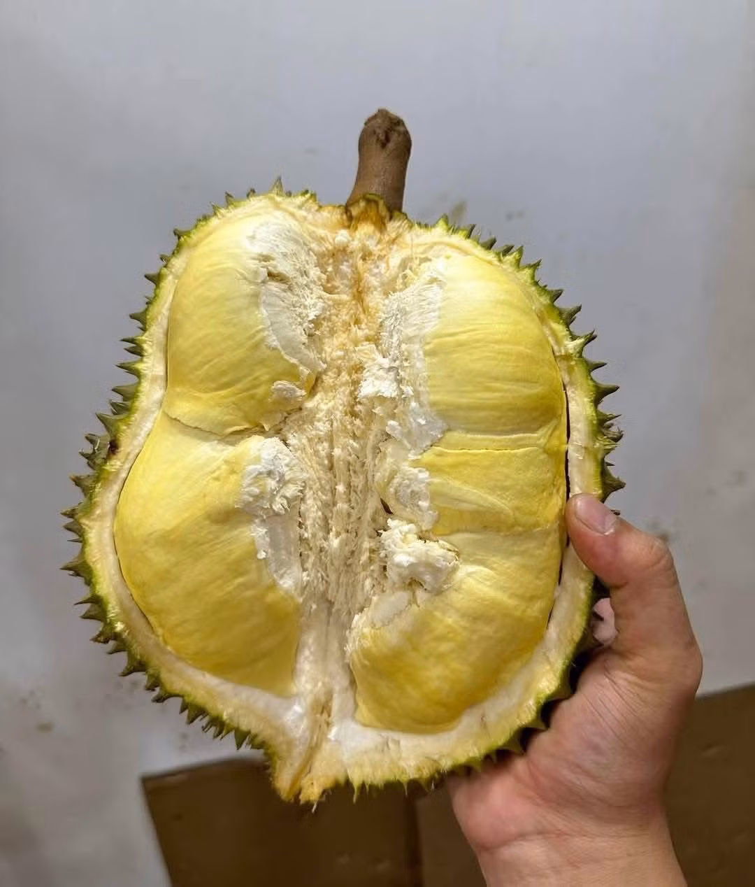 sau-rieng3.jpg