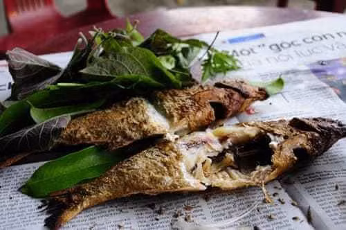 Những con cá lăng trung bình bán ở sông Đà với giá khoảng 200.000 - 3000.000 đồng/kg. Ảnh: Dân Việt