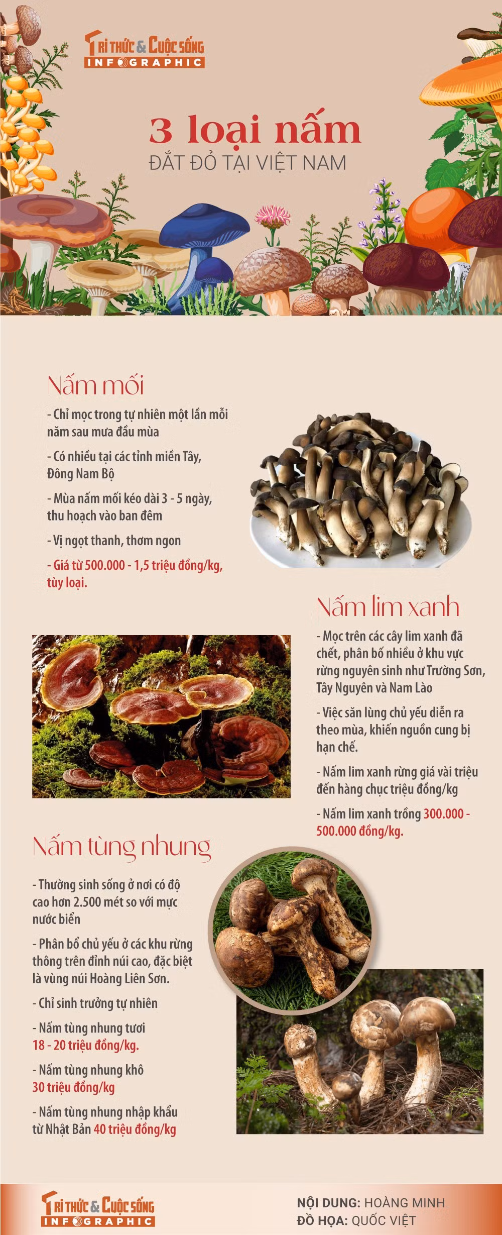 3-loai-nam-dat-do.jpg