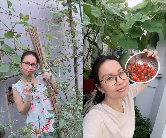 Thành quả là khu vườn đa dạng với khoảng 20 loại trái cây khác nhau. Ảnh: FB Cẩm Ly