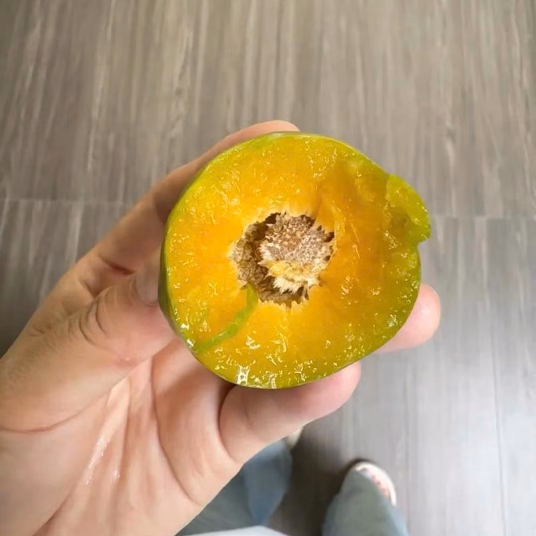 Khi ăn mận cau Mông Tự (Trung Quốc) vị giòn, ngọt đậm pha lẫn chút chua thanh, mọng nước và róc hạt. Ảnh: Facebook