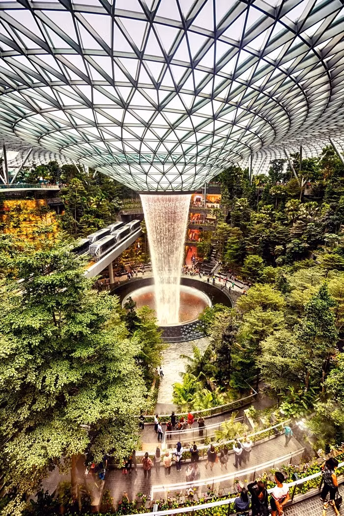 Changi liên tục được vinh danh với các giải thưởng danh giá về chất lượng dịch vụ, kiến trúc và sự tiện nghi. Ảnh: Getty Images