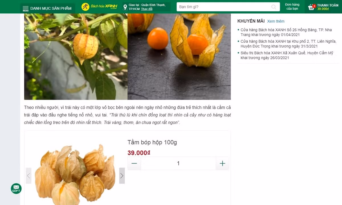 Quả tầm bóp bất ngờ xuất hiện ở siêu thị, cửa hàng trái cây cao cấp với mức giá 39.000 đồng/100g (gần 400.000 đồng/kg). Ảnh: Người lao động