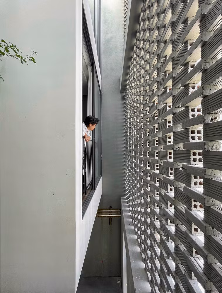 Một bức tường nhiệt đới mặt trước và sau, được chắn bởi thảm thực vật tươi tốt ở giữa và các khoảng trống mở rộng tại các tầng khác nhau. Ảnh: Hoàng Lê