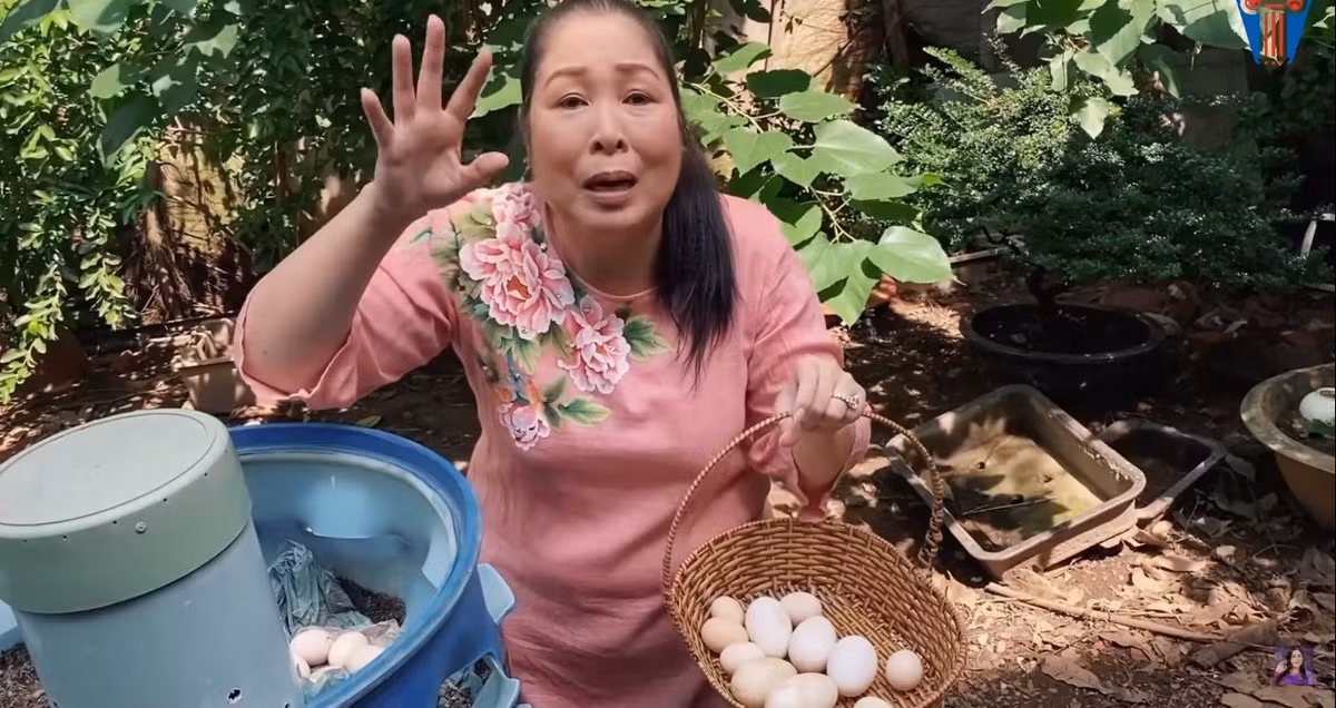 Khu vườn phía sau được sử dụng để nuôi gia cầm như gà, ngỗng, chim trĩ. Ảnh chụp màn hình