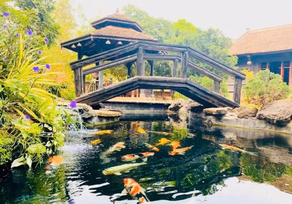 Trong khuôn viên biệt phủ có hồ nuôi cá Koi, ốp bằng đá thiên nhiên, kết hợp nước và hệ thống máy lọc ước tính chi phí khoảng một tỷ đồng. Ảnh: FBNV
