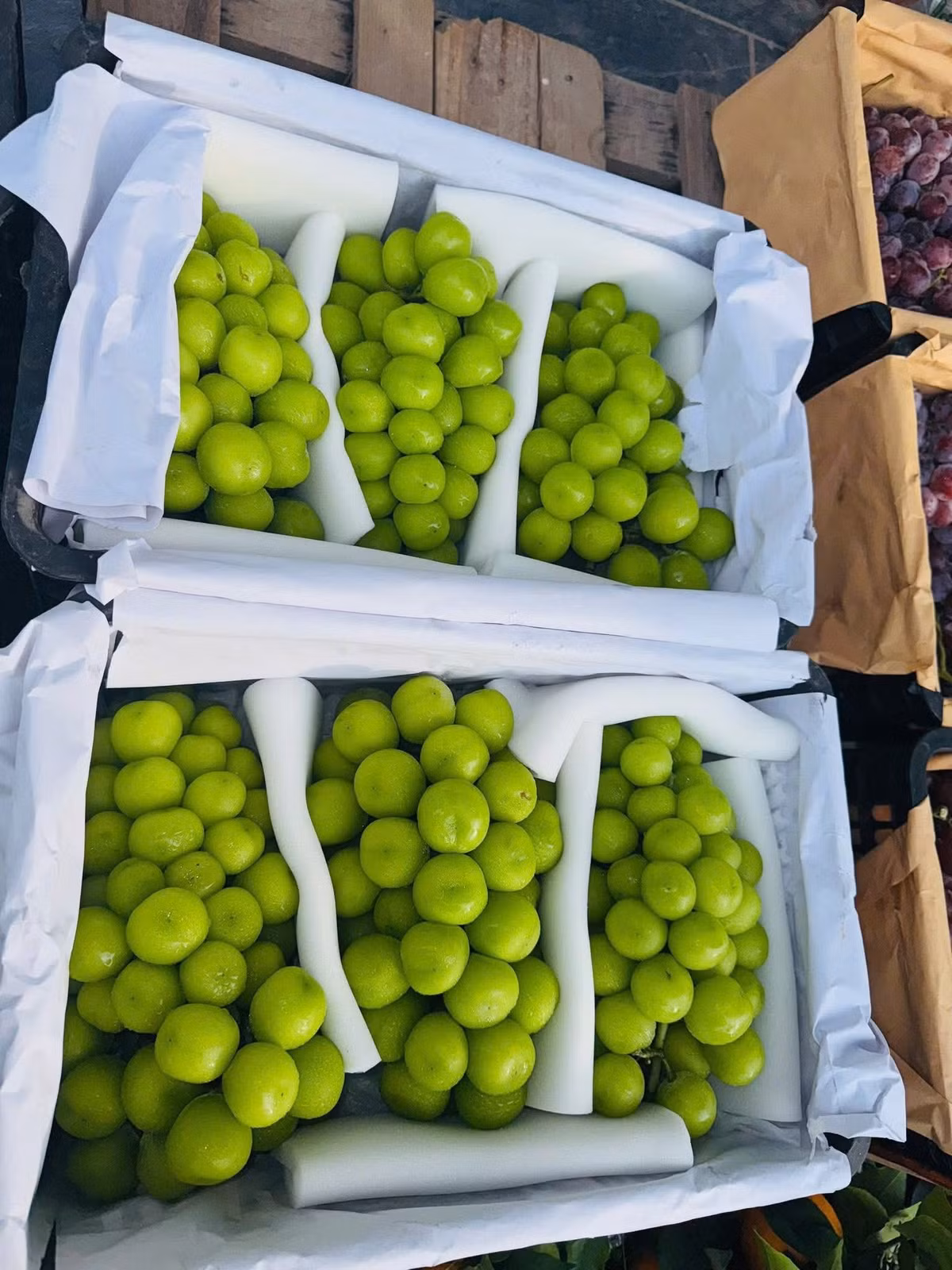 Theo đó, những chùm nho từng được coi là hàng cao cấp giá chỉ từ 30.000 - 120.000 đồng/kg, tùy loại. Ảnh: Facebook