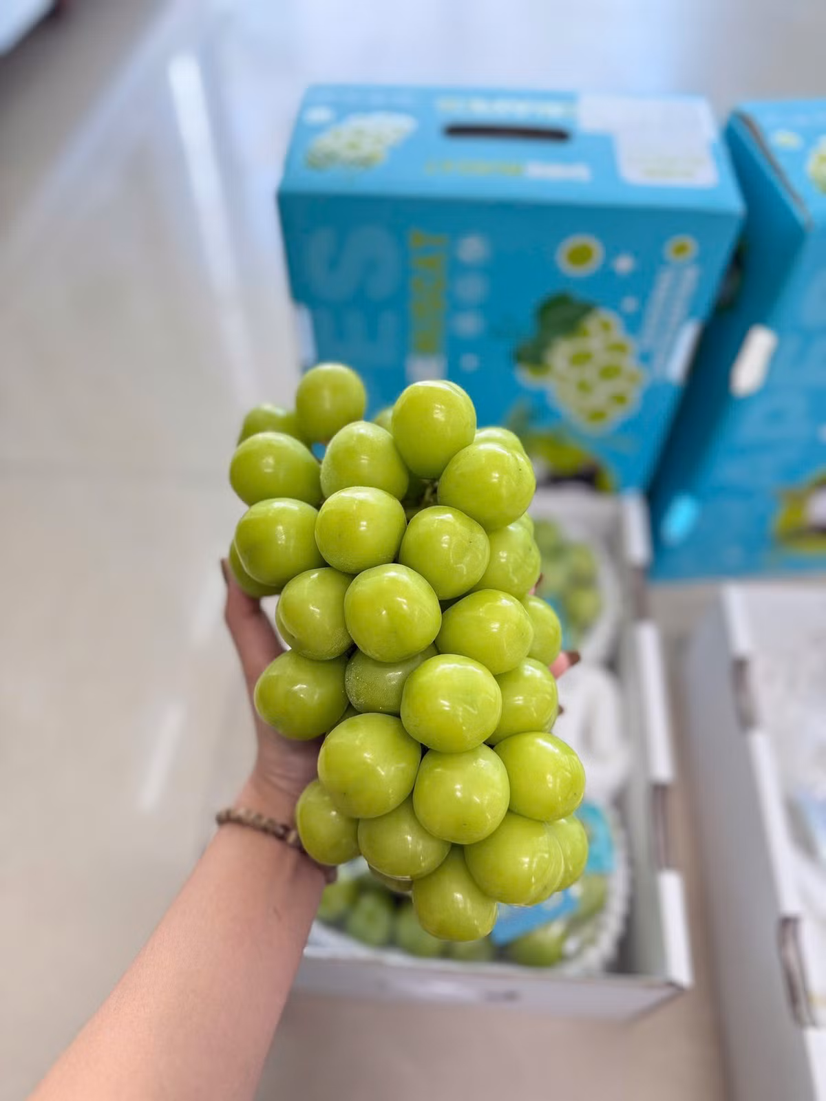 Từ năm 2006, nho sữa Nhật Bản du nhập vào Trung Quốc. Năm 2020, nho sữa Trung Quốc lần đầu xuất hiện tại chợ Việt với giá dao động từ 170.000 - 250.000 đồng/kg. Ảnh: Facebook