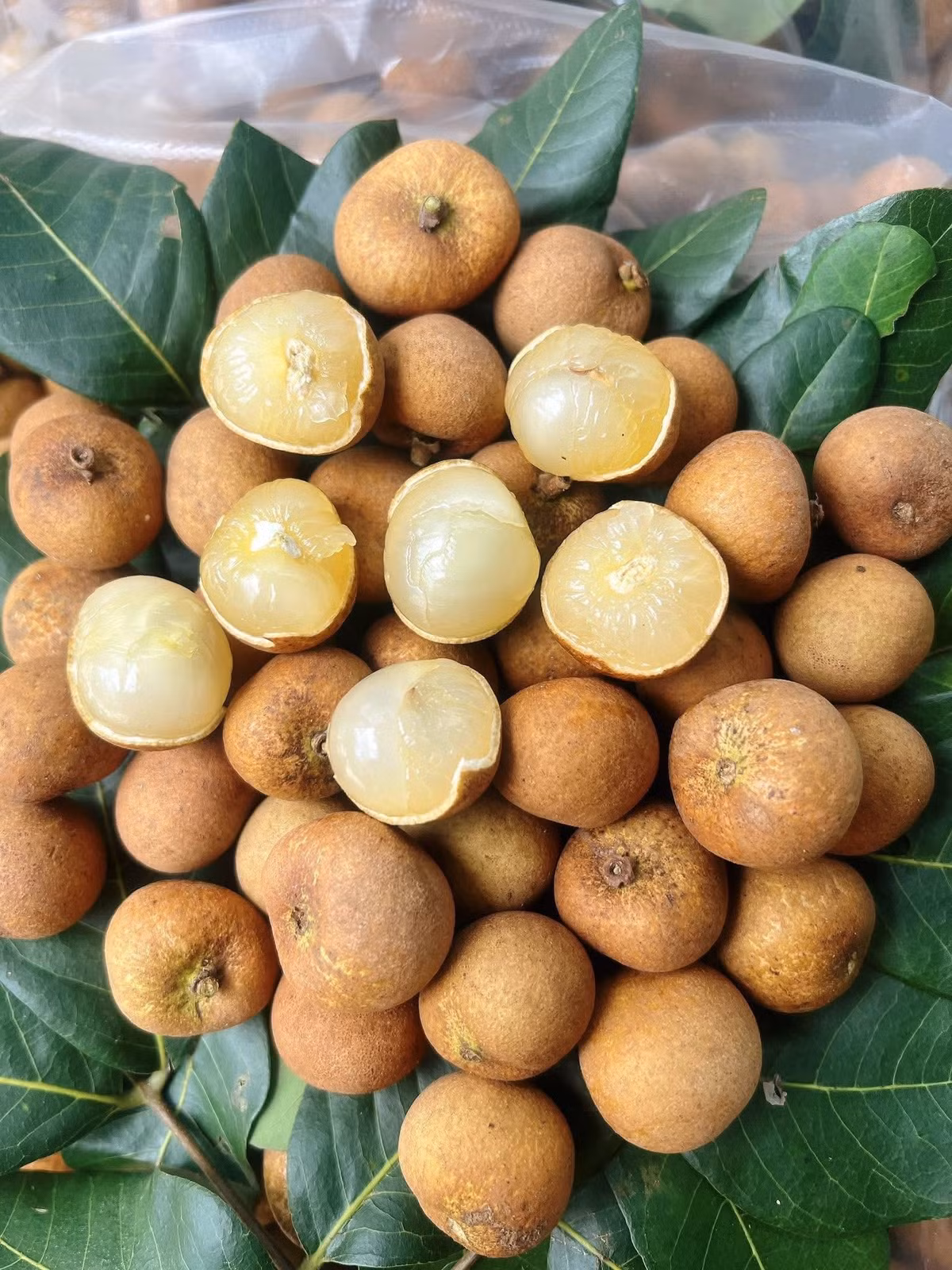 Các vựa nhãn ở Bà Rịa - Vũng Tàu cũng loay hoay tìm đầu ra, thậm chí phải bán sỉ 105.000 đồng/3 kg, giảm 50–70% so với cùng kỳ năm ngoái. Ảnh: Facebook