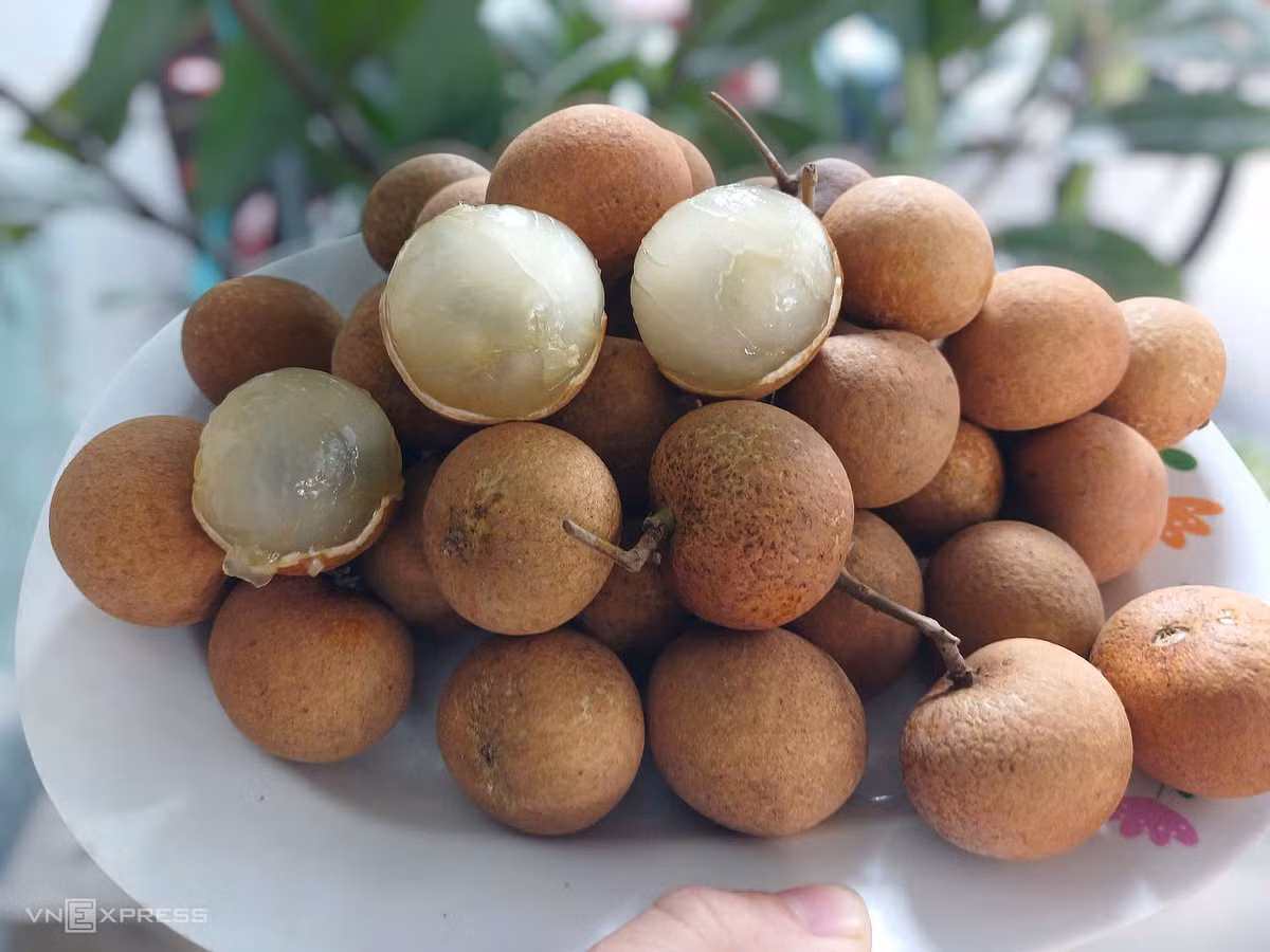 Thời điểm đó, giá bán nhãn bắp cải dao động 120.000 – 150.000 đồng/kg, thậm chí hàng tuyển loại 1 từng chạm mốc 250.000 đồng/kg. Ảnh: Facebook