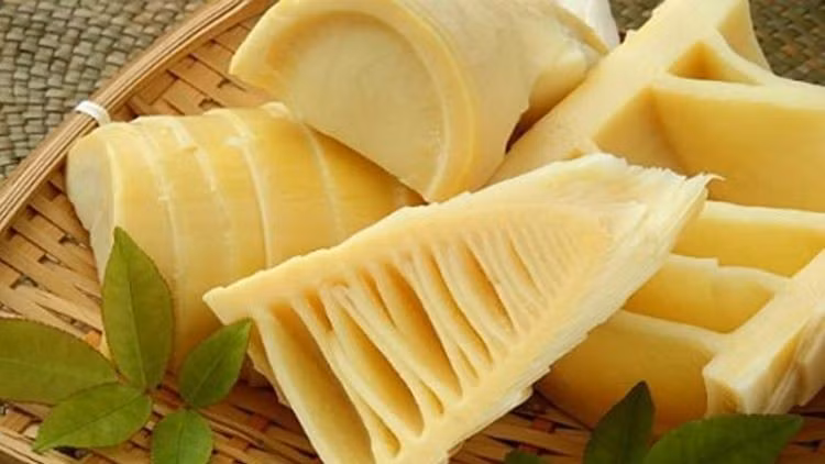 Để hái măng le tươi, người dân phải canh từ sáng sớm, chui sâu vào bụi le rậm. Có ngày chỉ đào được vài cân. Ảnh: Internet
