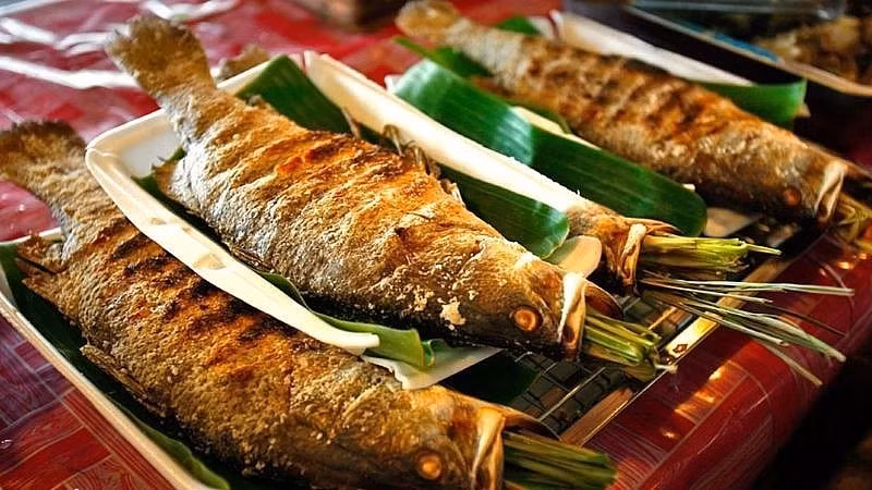 Cá bỗng hiện trở thành món chính trong thực đơn của nhiều nhà hàng, quán ăn đặc sản Tây Bắc. Ảnh: Internet