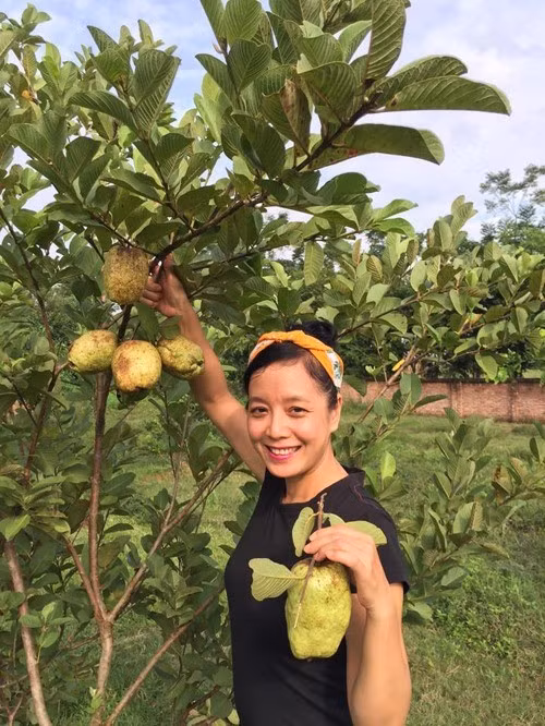 Hàng trăm cây ăn quả trong vườn nhà nghệ sĩ Chiều Xuân trồng theo phương pháp tự nhiên, bón phân hữu cơ. Ảnh: FB Nguyễn Thị Chiều Xuân