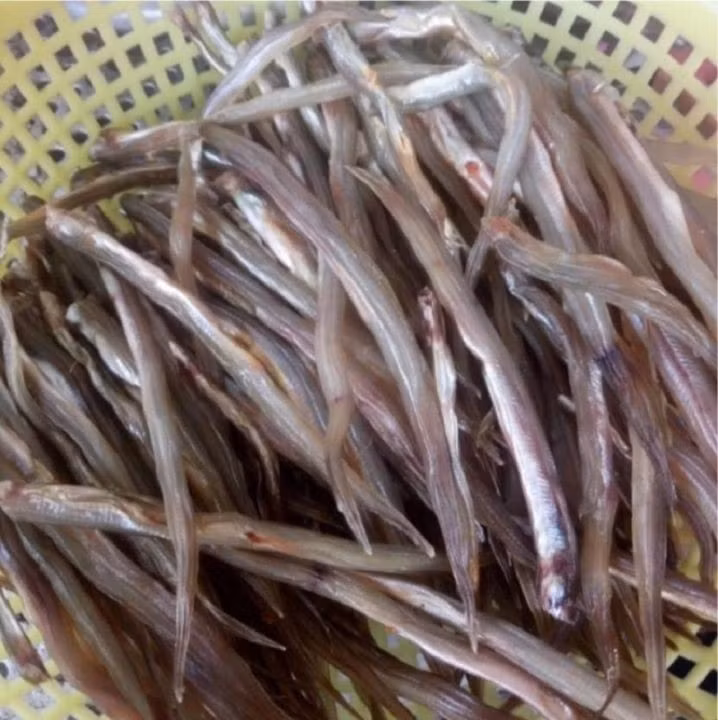 Cá loi choi (hay cá đũa) là loài cá đặc trưng thuộc họ cá chình biển. Tên gọi xuất phát từ đặc điểm thân dài, tròn như chiếc đũa. Ảnh: Lazada