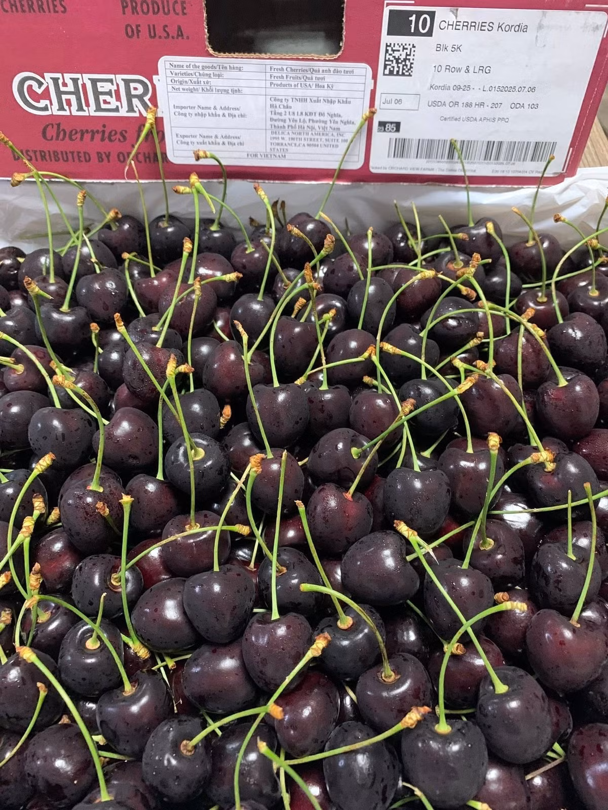 cherry3.jpg
