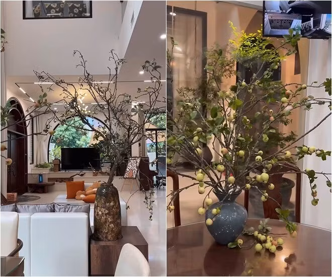 Các loại cành được cắm trong bình với nhiều kiểu dáng khác nhau. Ảnh chụp màn hình