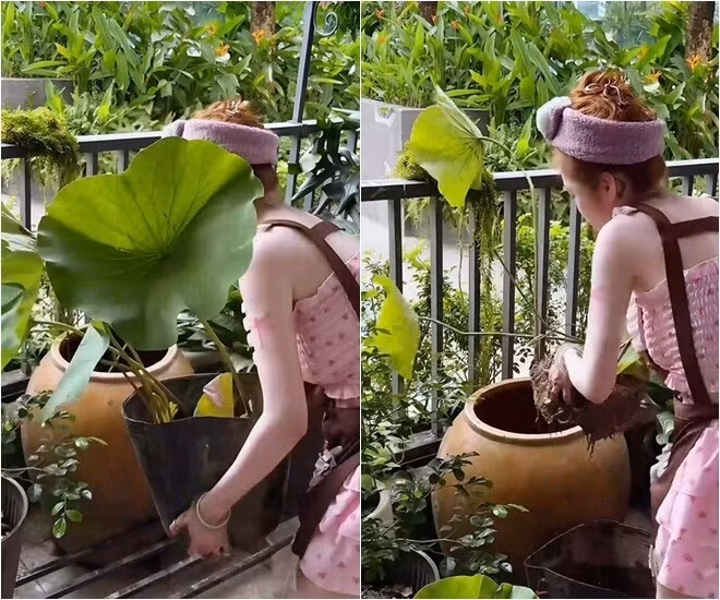 Có thể thấy, niềm vui hiện tại của Elly Trần không còn đến từ ánh đèn sân khấu hay vật chất, mà là sự bình yên khi được chăm sóc cây cối. Ảnh chụp màn hình