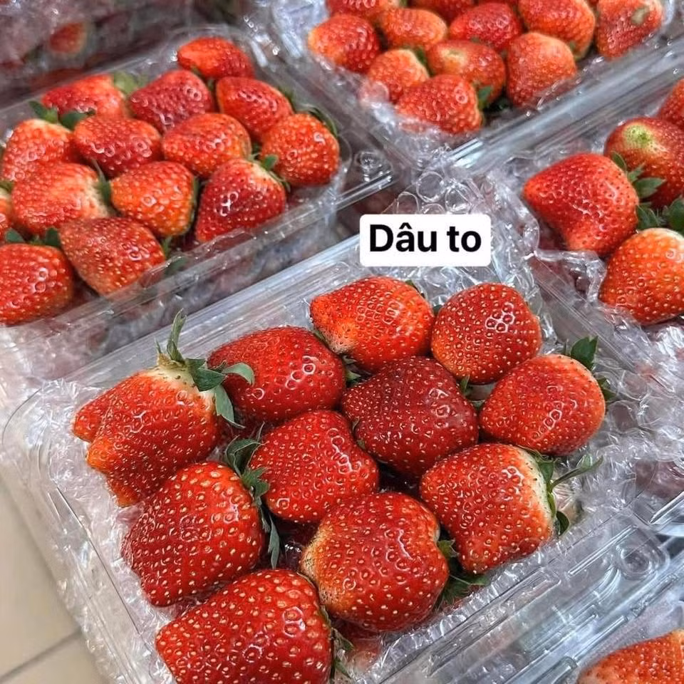 Những ngày cuối tháng 12, trên các chợ dân sinh, siêu thị hay chợ online tại khu vực Hà Nội, dâu tây Mộc Châu bắt đầu được bày bán với nhiều mức giá khác nhau. Ảnh: Facebook