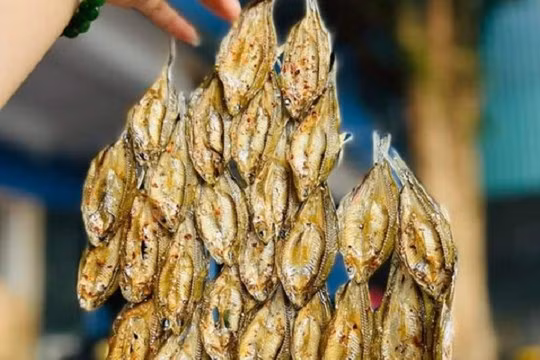 Khoảng 5 kg cá tép dầu tươi có thể cho 1 kg cá tép dầu khô. Ảnh: Internet