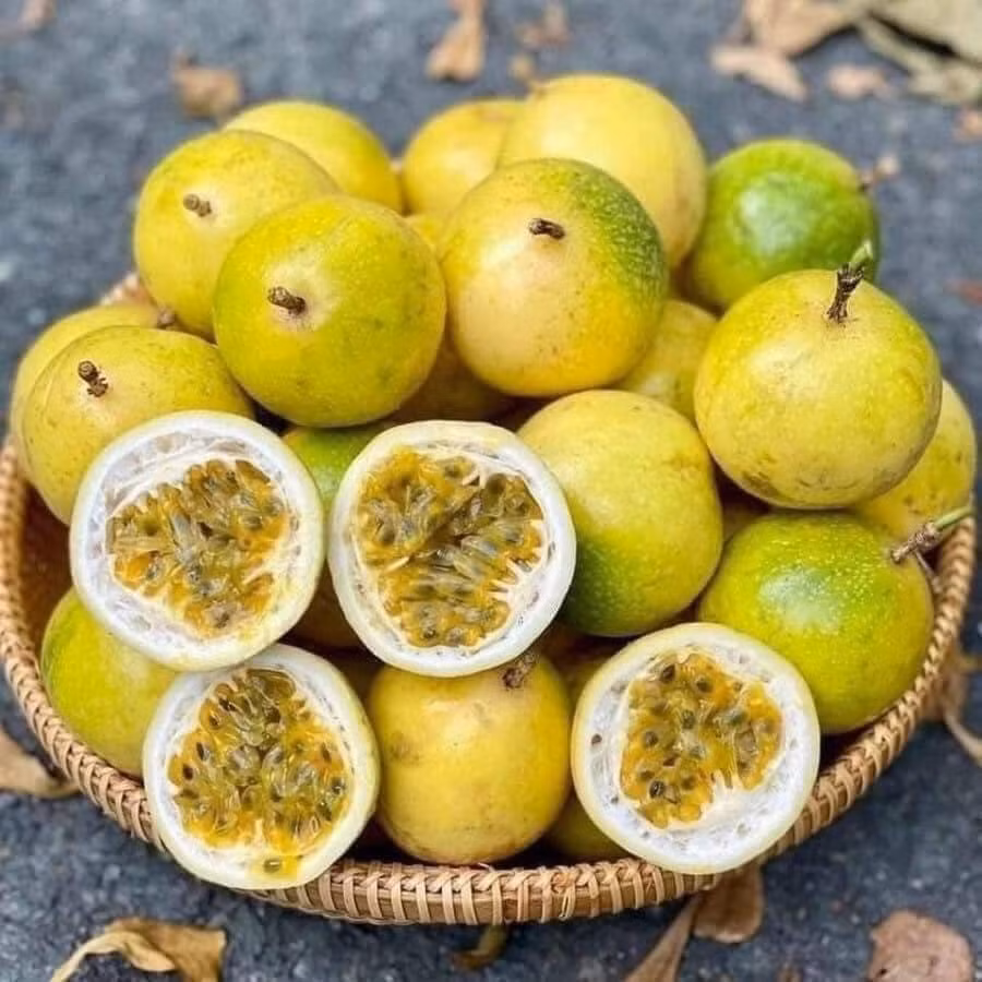 Chị Duyên (chuyên bán hoa quả tại Hà Nội) cho biết, giá chanh leo vàng năm nay rẻ hơn mọi năm nên rất hút khách. Có ngày chị Duyên lấy về gần 1 tạ cũng hết veo. Ảnh: Facebook