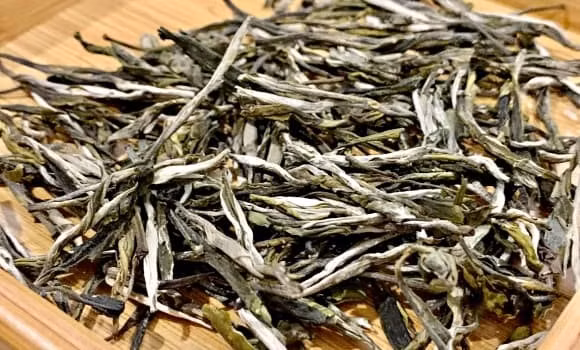 Búp chè Bạch Long có hình dáng thanh mảnh, trắng muốt và được bao phủ bởi một lớp lông tơ mịn màng. Ảnh: Internet