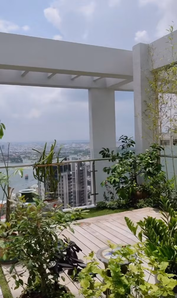 Khu vườn trên cao thoáng đãng. Ảnh chụp màn hình