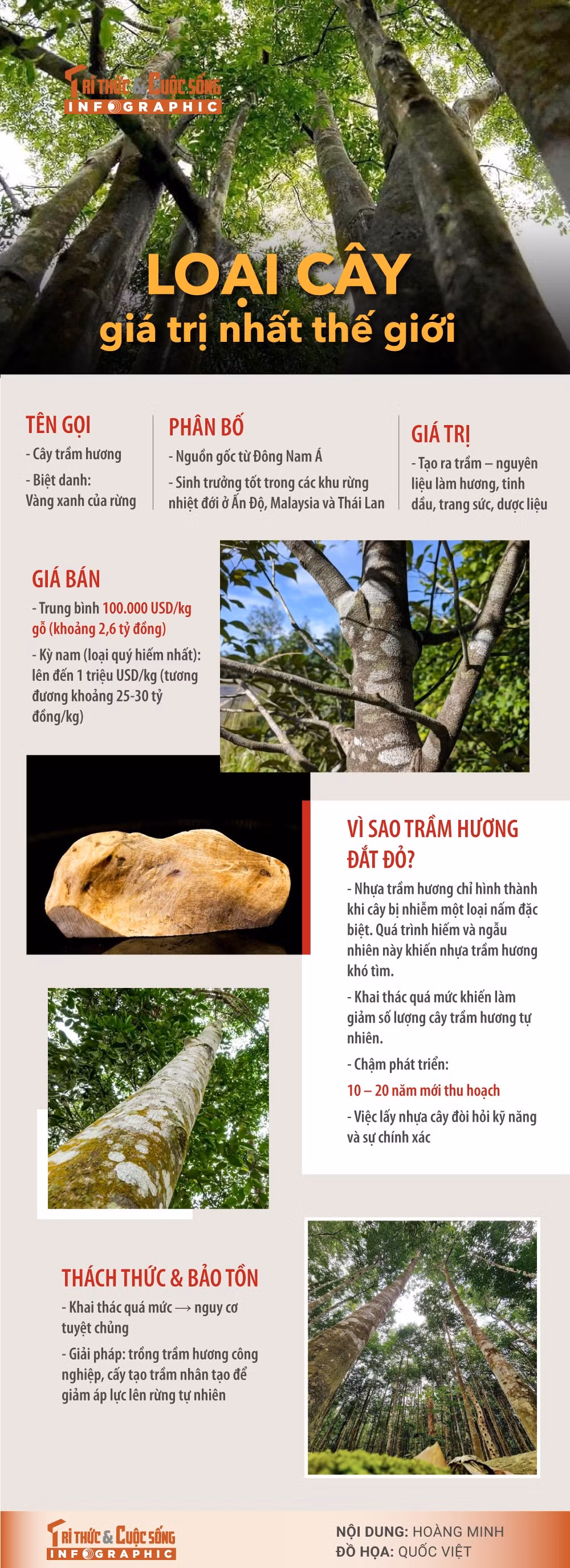 loai-cay-gia-tri-nhat-the-gioi.jpg