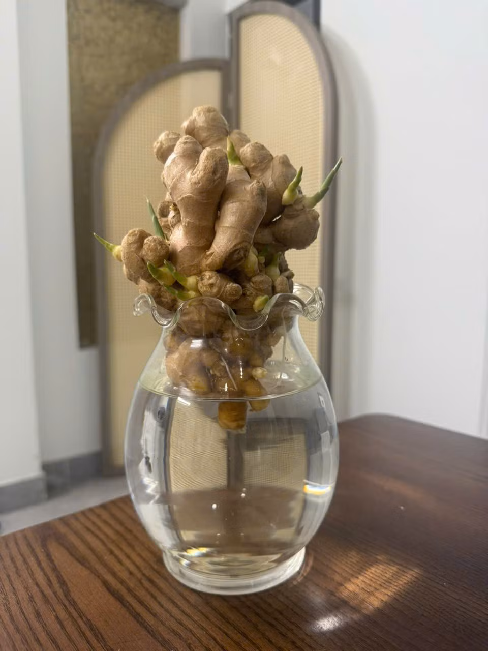 gung-bonsai2.jpg