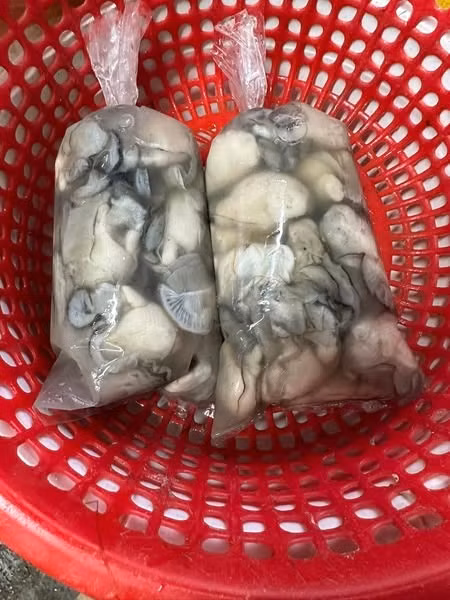Ruột hàu vàng sau khi tách giá dao động từ 180.000 - 250.000 đồng/kg, tùy loại. Ảnh: Facebook