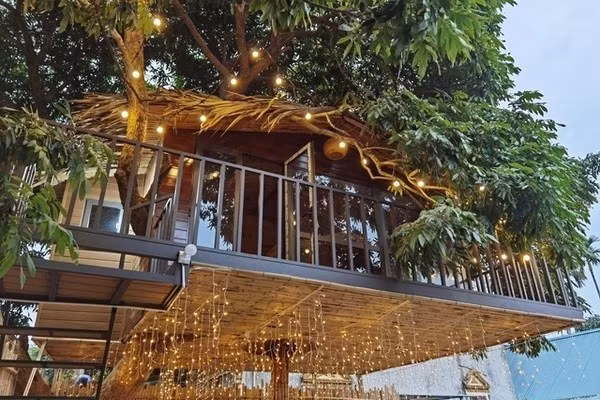 Nhìn bên ngoài, ngôi nhà có vẻ nằm hoàn toàn trên cây nhãn, nhưng thực tế không tựa vào cây, nên đảm bảo về độ an toàn. Ảnh: Vietnamnet