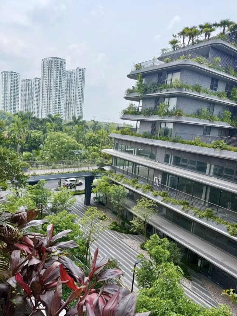 Góc view không thể đẹp hơn từ phòng khách. Ảnh: FBNV