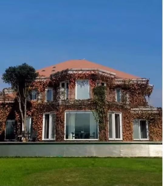 Nhưng khi về già, vợ ông không cảm thấy thoải mái với cuộc sống này. Vì vậy, họ quyết định chuyển về biệt thự mua 20 năm trước, xây mới lại thành không gian sống trong mơ. Ảnh: Sohu