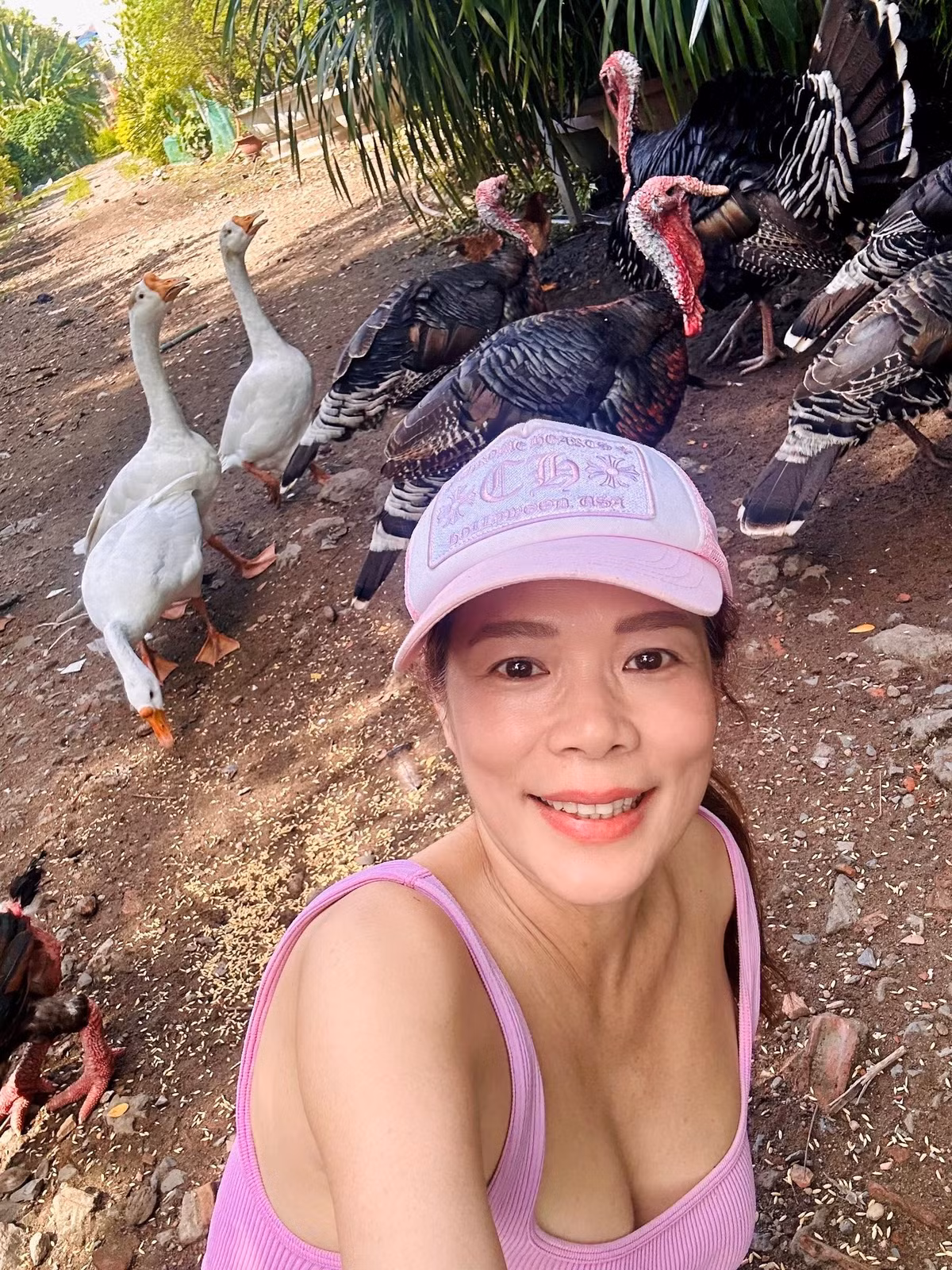 Ngoài trồng cây ăn quả, Mỹ Lệ còn dành không gian nuôi gà, vịt và ngỗng. Ảnh: FB Hoàng Thị Mỹ Lệ