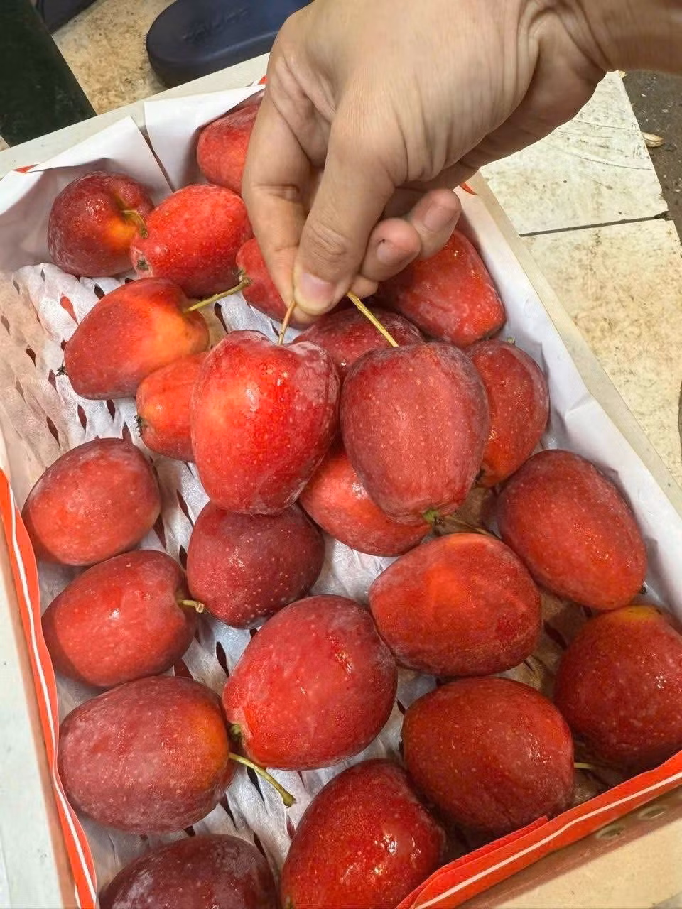 Thời gian gần đây, táo cherry – loại táo có hình dáng nhỏ trở thành mặt hàng được nhiều người săn lùng tại các chợ dân sinh và siêu thị. Ảnh: Facebook